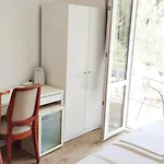 Kipre 2 * Cavtat